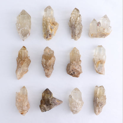 Congo Citrine Set of 12