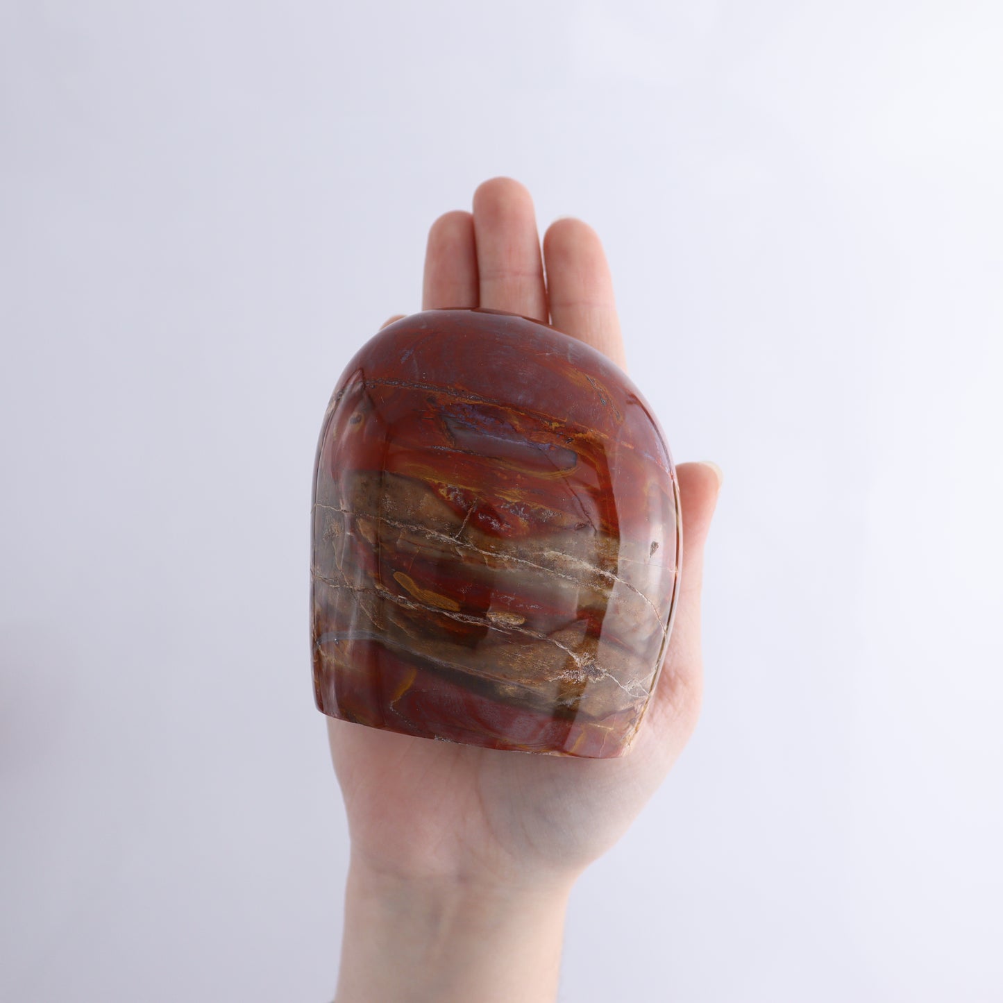 Petrified Wood Freeform Set of 3 - Expert Wholesale and Supplier of Wholesale Crystals & Bulk Gemstones, ["Freeforms","Madagascar","Petrified Wood"]