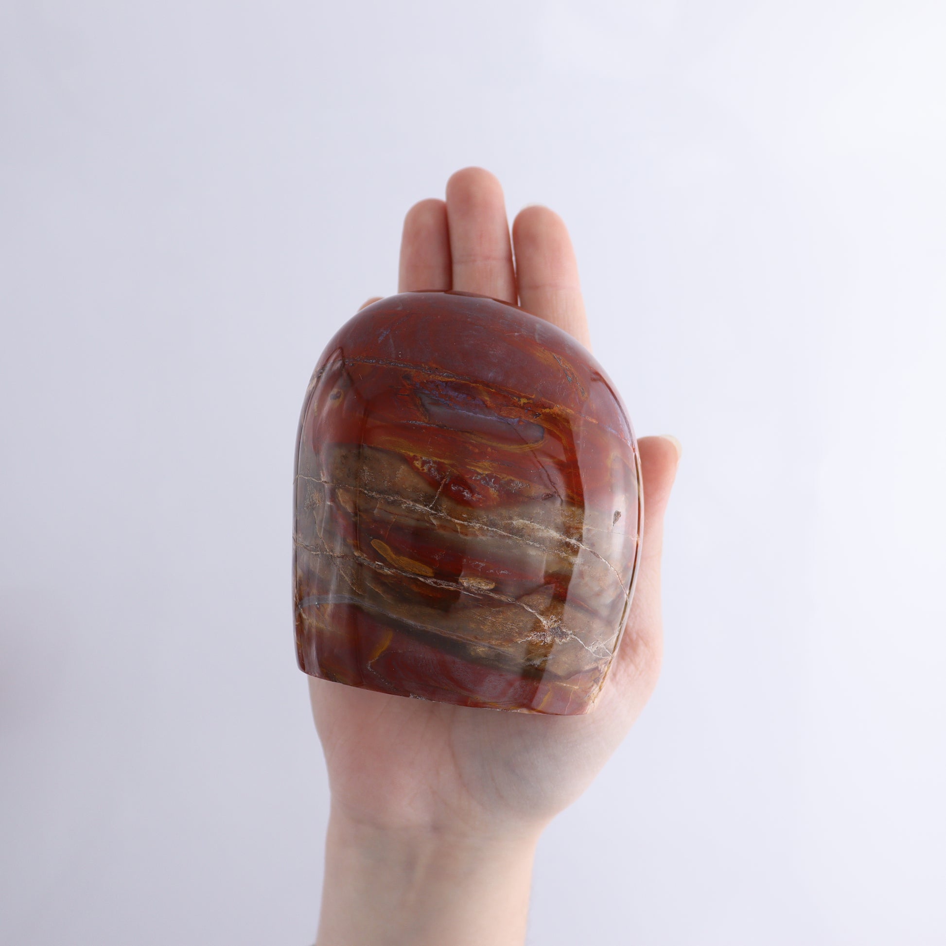 Petrified Wood Freeform Set of 3 - Expert Wholesale and Supplier of Wholesale Crystals & Bulk Gemstones, ["Freeforms","Madagascar","Petrified Wood"]