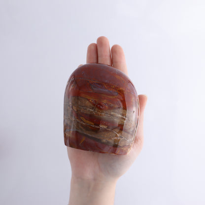 Petrified Wood Freeform Set of 3 - Expert Wholesale and Supplier of Wholesale Crystals & Bulk Gemstones, ["Freeforms","Madagascar","Petrified Wood"]