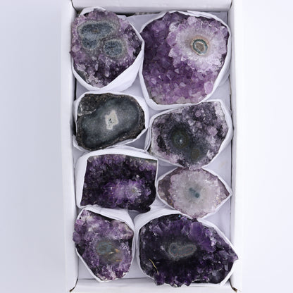 *sold Uruguay Amethyst Clusters with "Eyes" Flat of 8 - Expert Wholesale and Supplier of Wholesale Crystals & Bulk Gemstones, ["Amethyst","Amethyst Eyes","Clusters","Uruguay"]