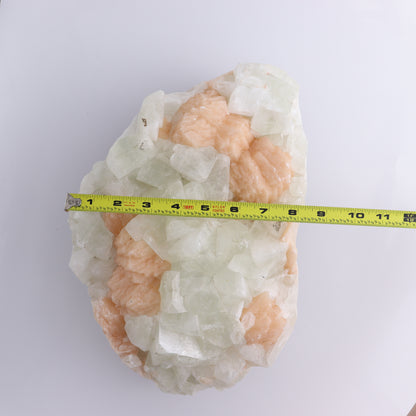 Large Apophyllite Cluster - Expert Wholesale and Supplier of Wholesale Crystals & Bulk Gemstones, ["Apophyllite","close_50","Clusters"]