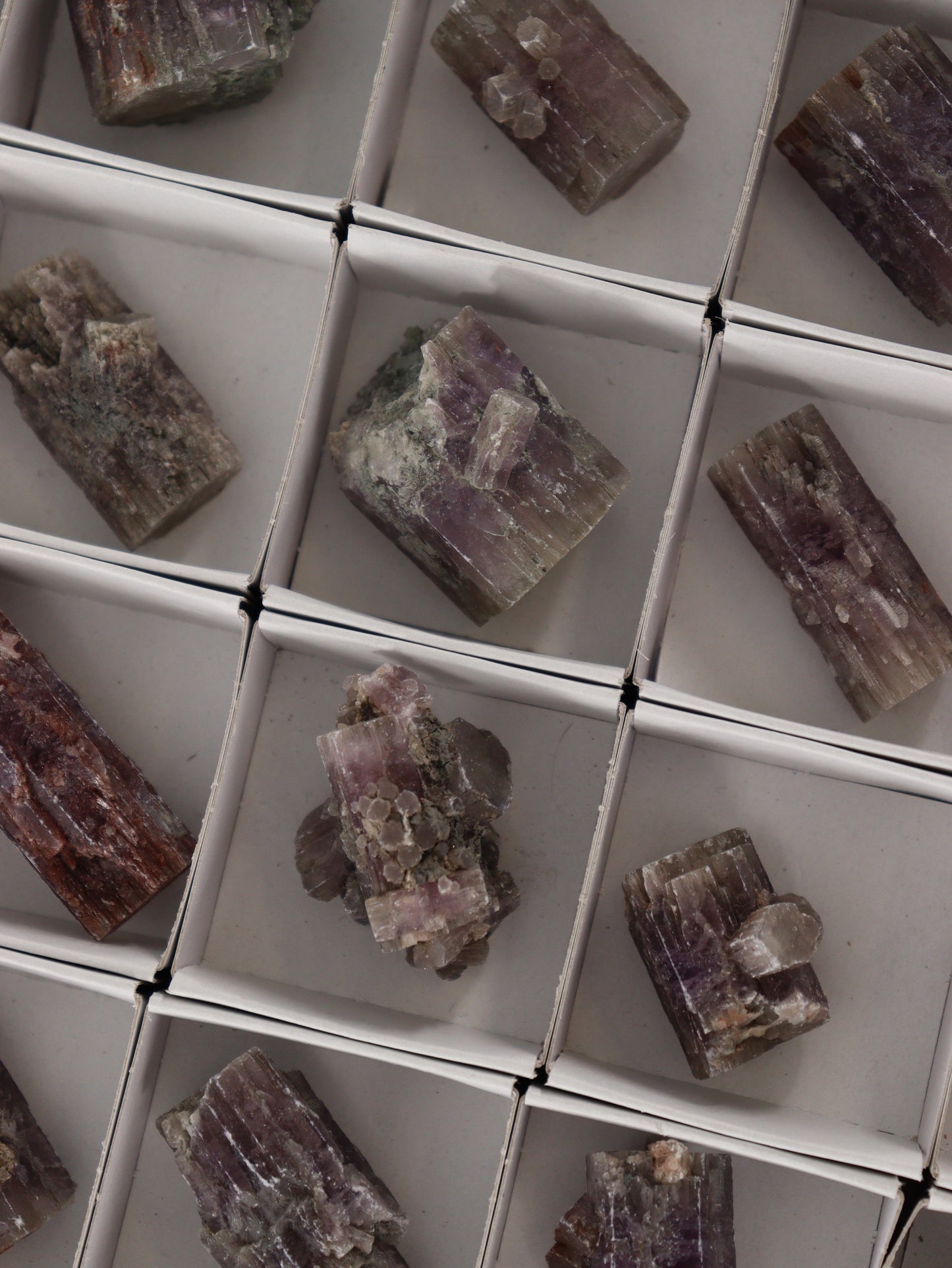 Purple Aragonite Flat Set of 54