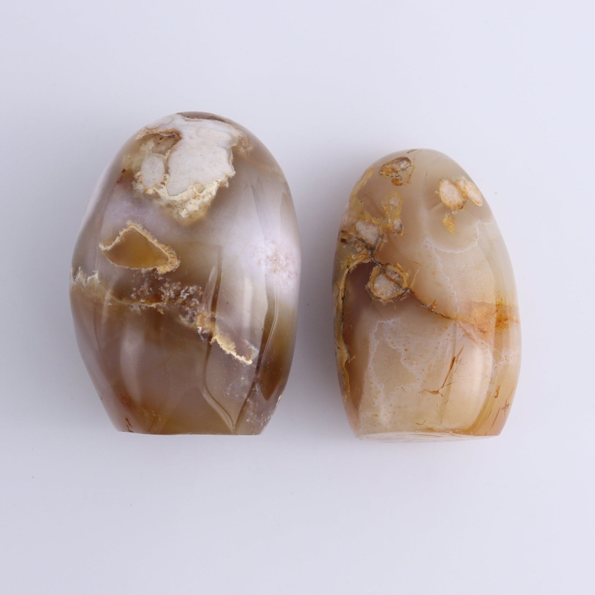 Flower Agate Freeforms Set of 6 - Expert Wholesale and Supplier of Wholesale Crystals & Bulk Gemstones, ["Flower Agate","Freeforms","Madagascar"]
