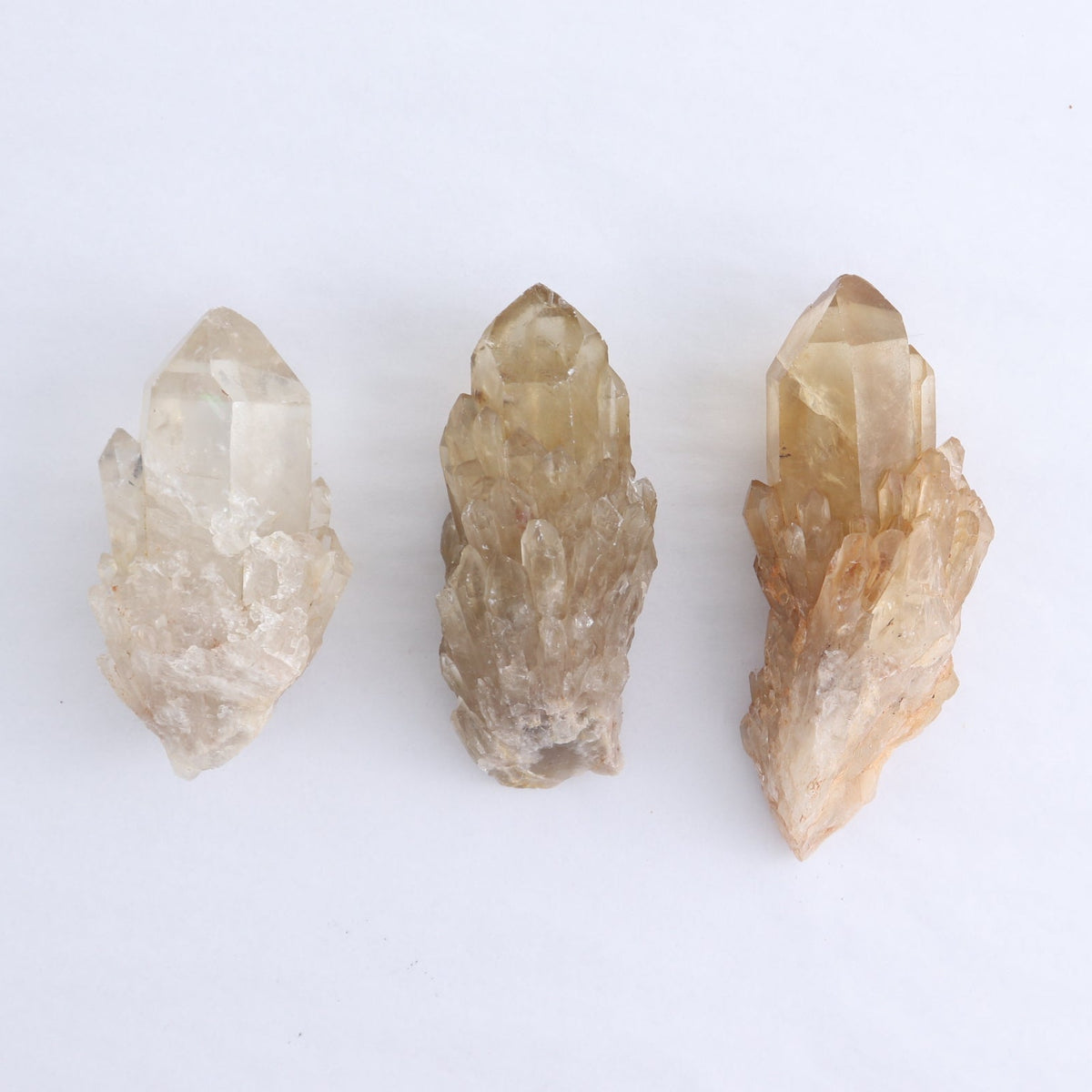 Congo Citrine Set of 12