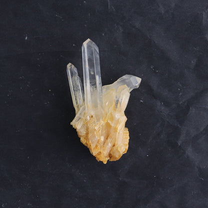 Lemurian Clusters from Columbia Set of 6