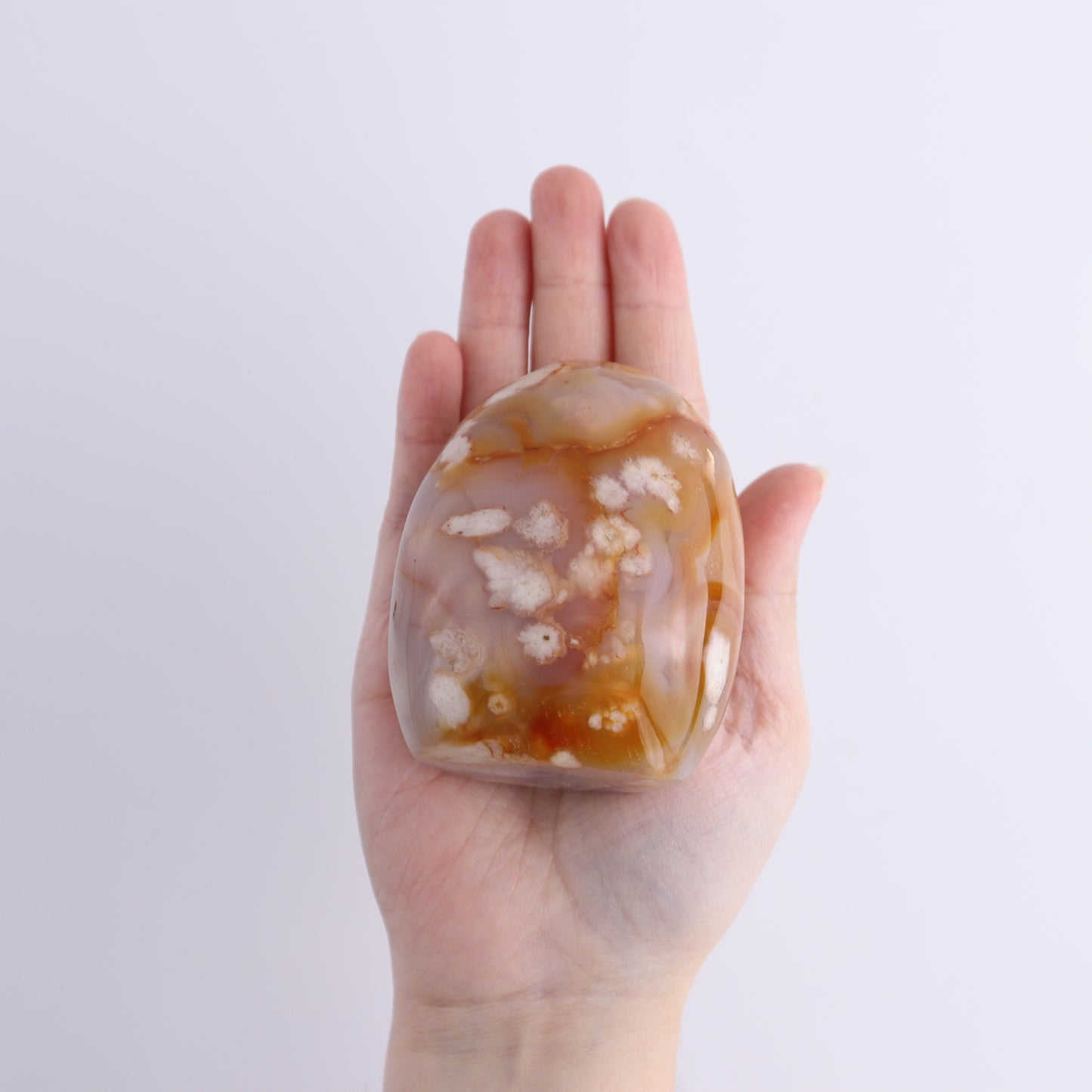 Flower Agate Freeforms Set of 6 - Expert Wholesale and Supplier of Wholesale Crystals & Bulk Gemstones, ["Flower Agate","Freeforms","Madagascar"]
