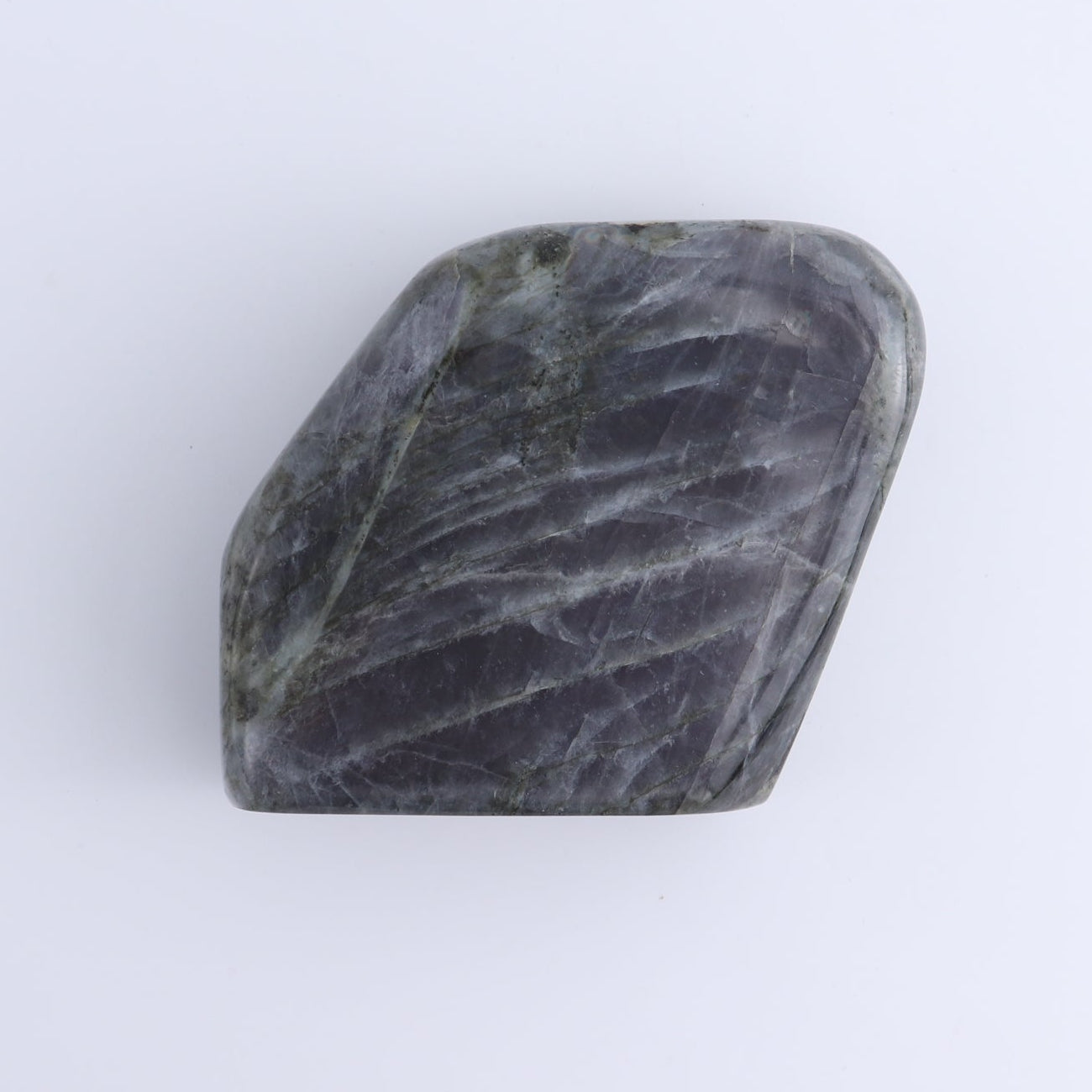 Labradorite Freeform Set of 5
