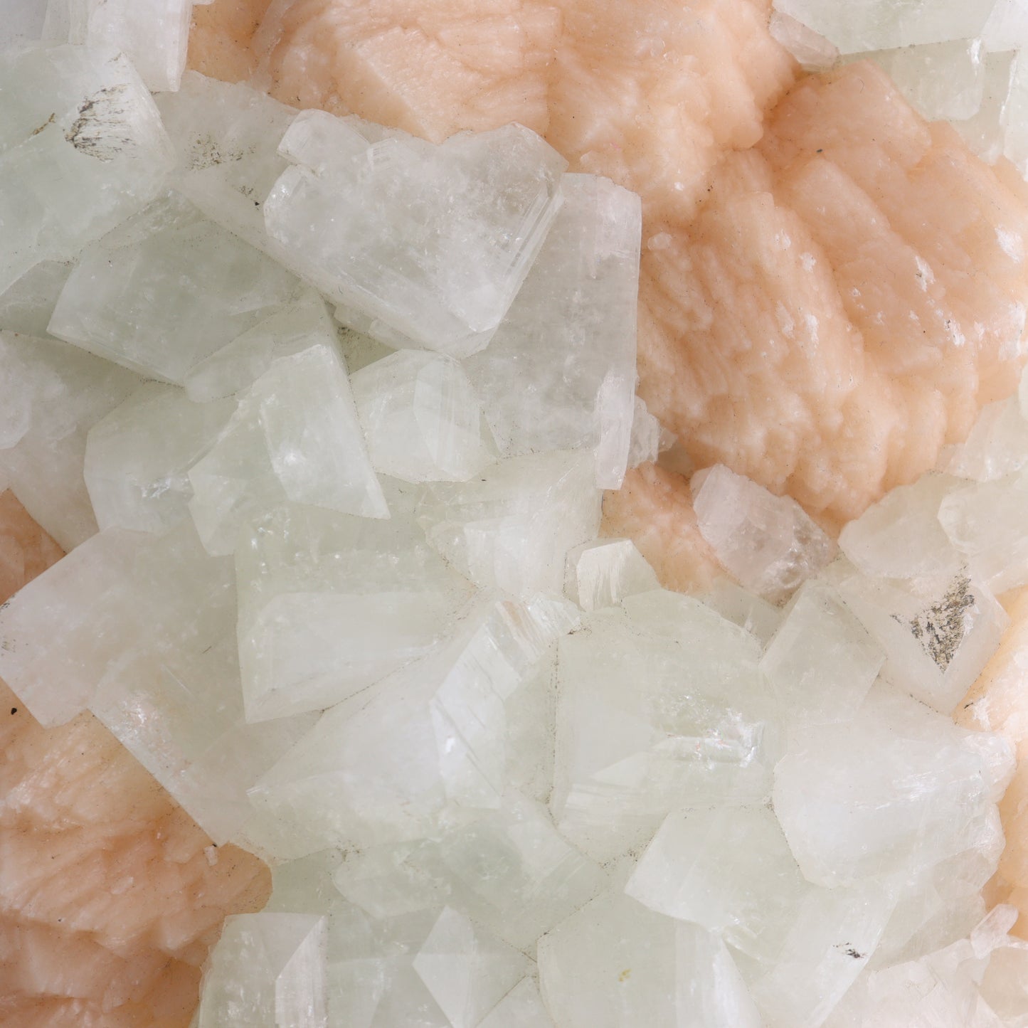 Large Apophyllite Cluster - Expert Wholesale and Supplier of Wholesale Crystals & Bulk Gemstones, ["Apophyllite","close_50","Clusters"]