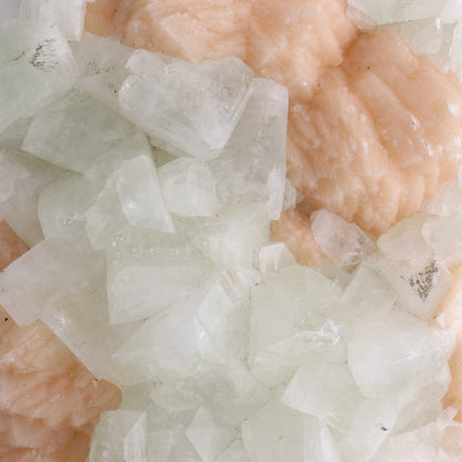 Large Apophyllite Cluster - Expert Wholesale and Supplier of Wholesale Crystals & Bulk Gemstones, ["Apophyllite","close_50","Clusters"]