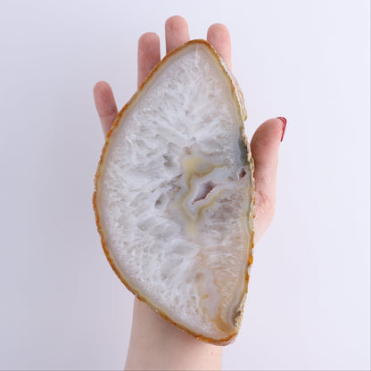 Agate Slices Set of 5 - Expert Wholesale and Supplier of Wholesale Crystals & Bulk Gemstones, ["Agate","Brazil","Slices and Slabs"]