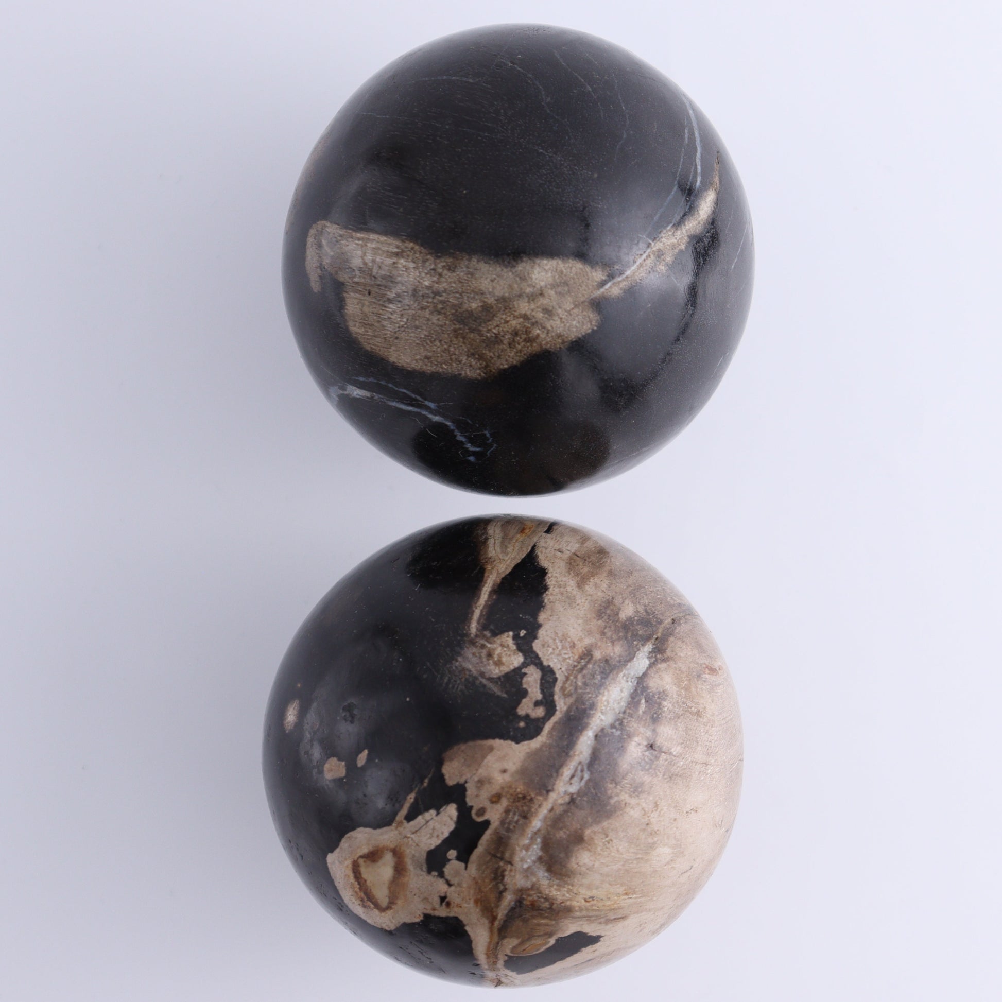 Petrified Wood Spheres Set of 4 - Expert Wholesale and Supplier of Wholesale Crystals & Bulk Gemstones, ["Indonesia","Petrified Wood","Spheres"]