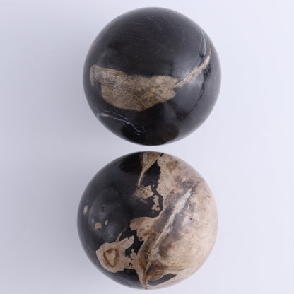 Petrified Wood Spheres Set of 4 - Expert Wholesale and Supplier of Wholesale Crystals & Bulk Gemstones, ["Indonesia","Petrified Wood","Spheres"]
