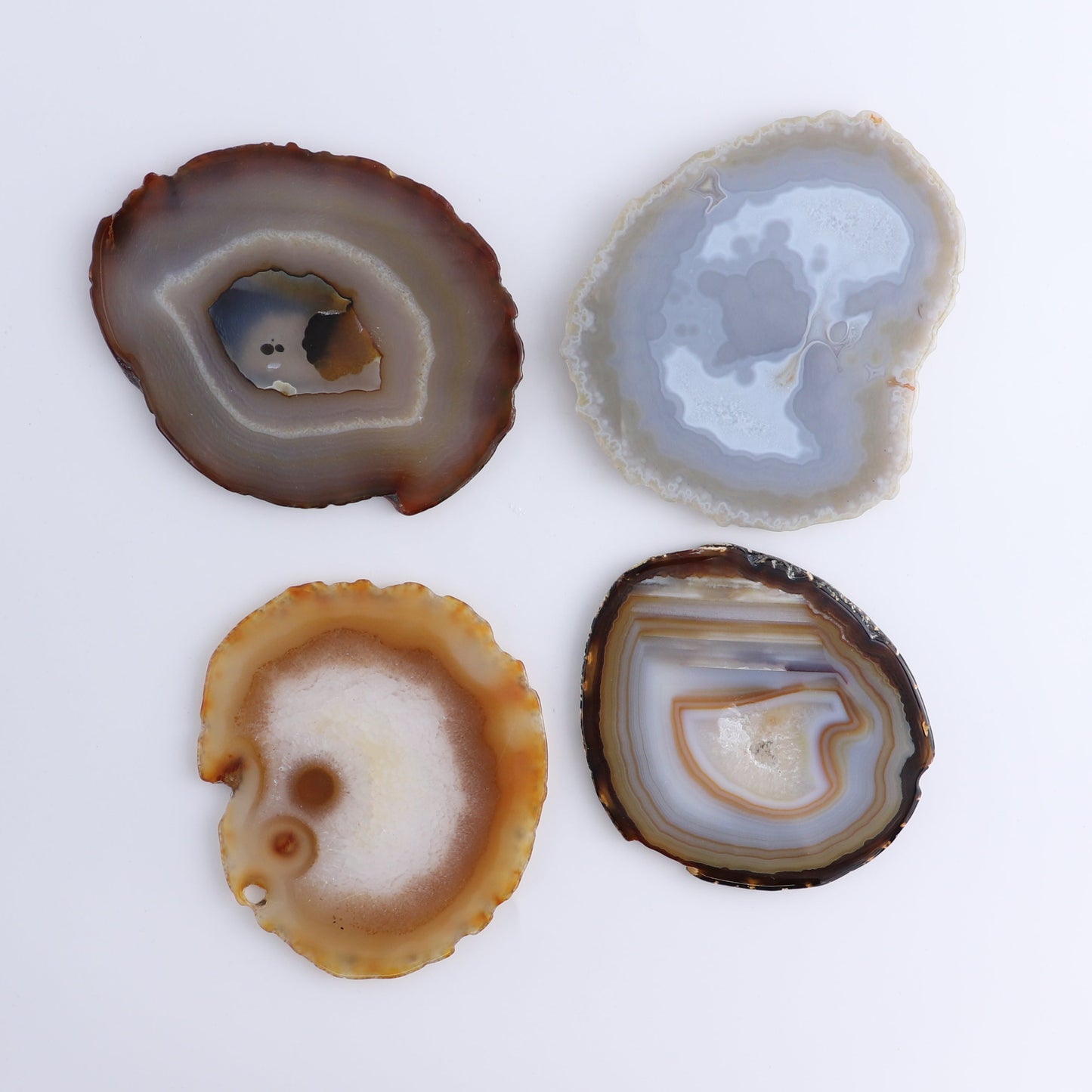 Agate Slices Set of 12 - Expert Wholesale and Supplier of Wholesale Crystals & Bulk Gemstones, ["Agate","Slices and Slabs"]