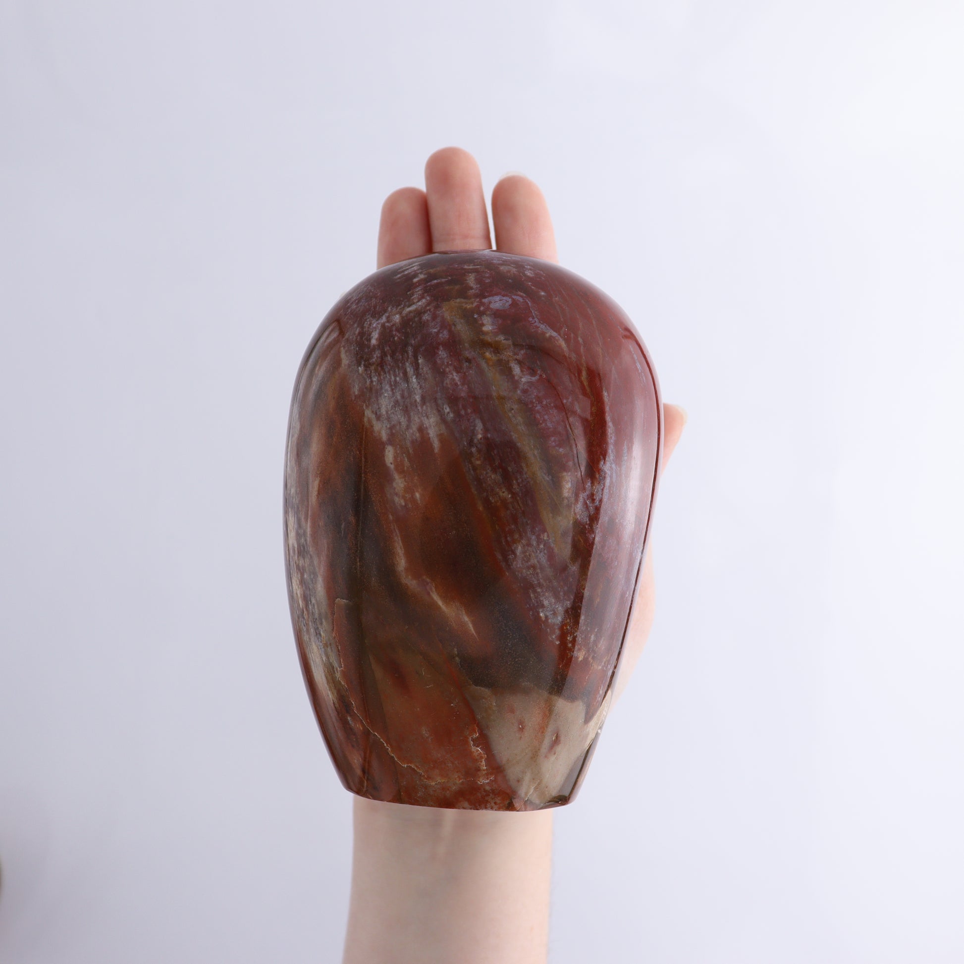 Petrified Wood Freeform Set of 3 - Expert Wholesale and Supplier of Wholesale Crystals & Bulk Gemstones, ["Freeforms","Madagascar","Petrified Wood"]