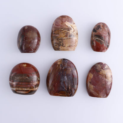 Petrified Wood Freeforms Set of 6 - Expert Wholesale and Supplier of Wholesale Crystals & Bulk Gemstones, ["Freeform","Freeforms","Madagascar","Petrified Wood"]