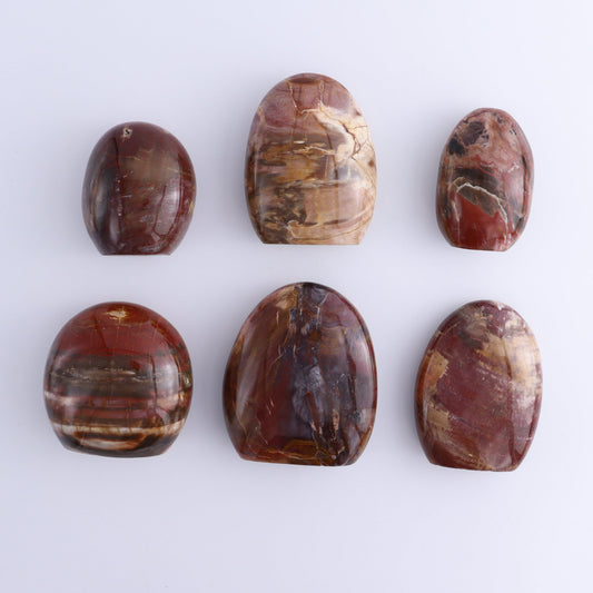 Petrified Wood Freeforms Set of 6 - Expert Wholesale and Supplier of Wholesale Crystals & Bulk Gemstones, ["Freeform","Freeforms","Madagascar","Petrified Wood"]