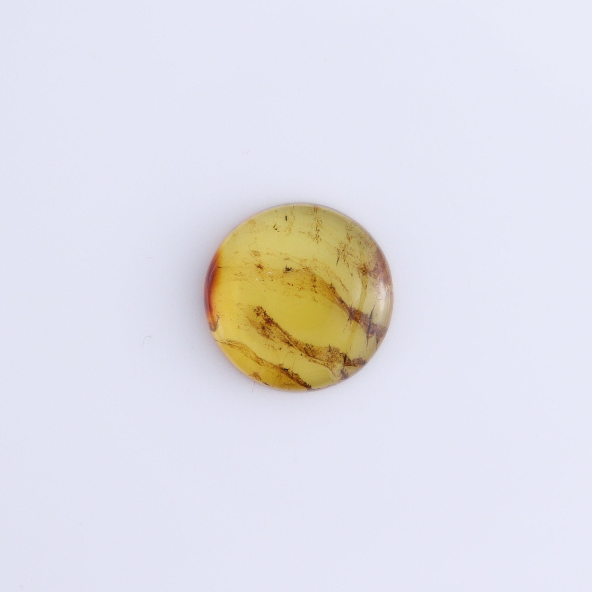 Chiapas Mexico Amber Cabs Set of 5 - Expert Wholesale and Supplier of Wholesale Crystals & Bulk Gemstones, ["Amber","Cabs","Chiapas Amber","Mexico"]