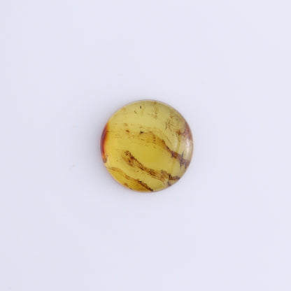 Chiapas Mexico Amber Cabs Set of 5 - Expert Wholesale and Supplier of Wholesale Crystals & Bulk Gemstones, ["Amber","Cabs","Chiapas Amber","Mexico"]