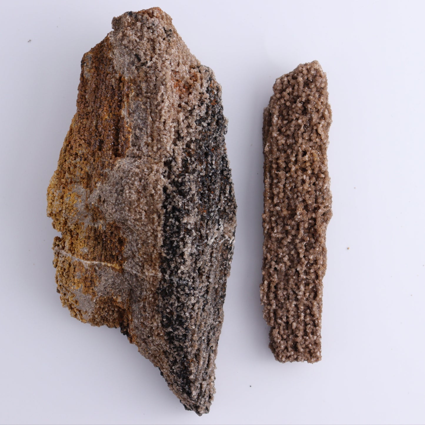 Petrified Wood Rough Set of 3 - Expert Wholesale and Supplier of Wholesale Crystals & Bulk Gemstones, ["Freeforms","Petrified Wood","Rough"]