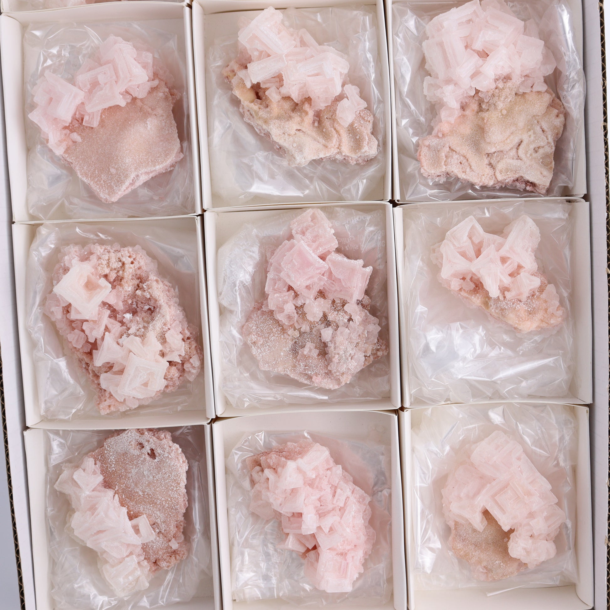 Searles Lake Halite Flat of 12 - Expert Wholesale and Supplier of Wholesale Crystals & Bulk Gemstones, ["Flats","Halite","United States"]