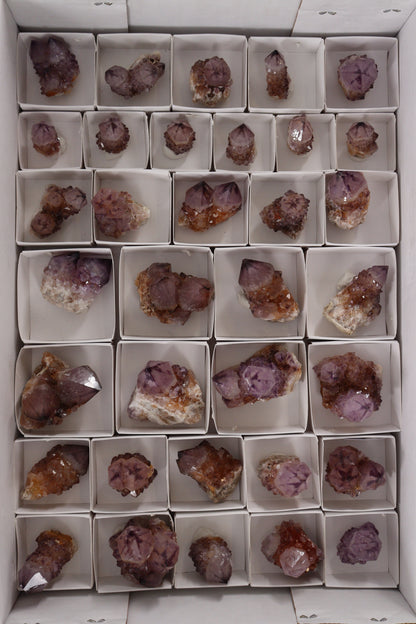 Cactus Quartz Flat - Expert Supplier of Wholesale Crystals & Bulk Gemstones