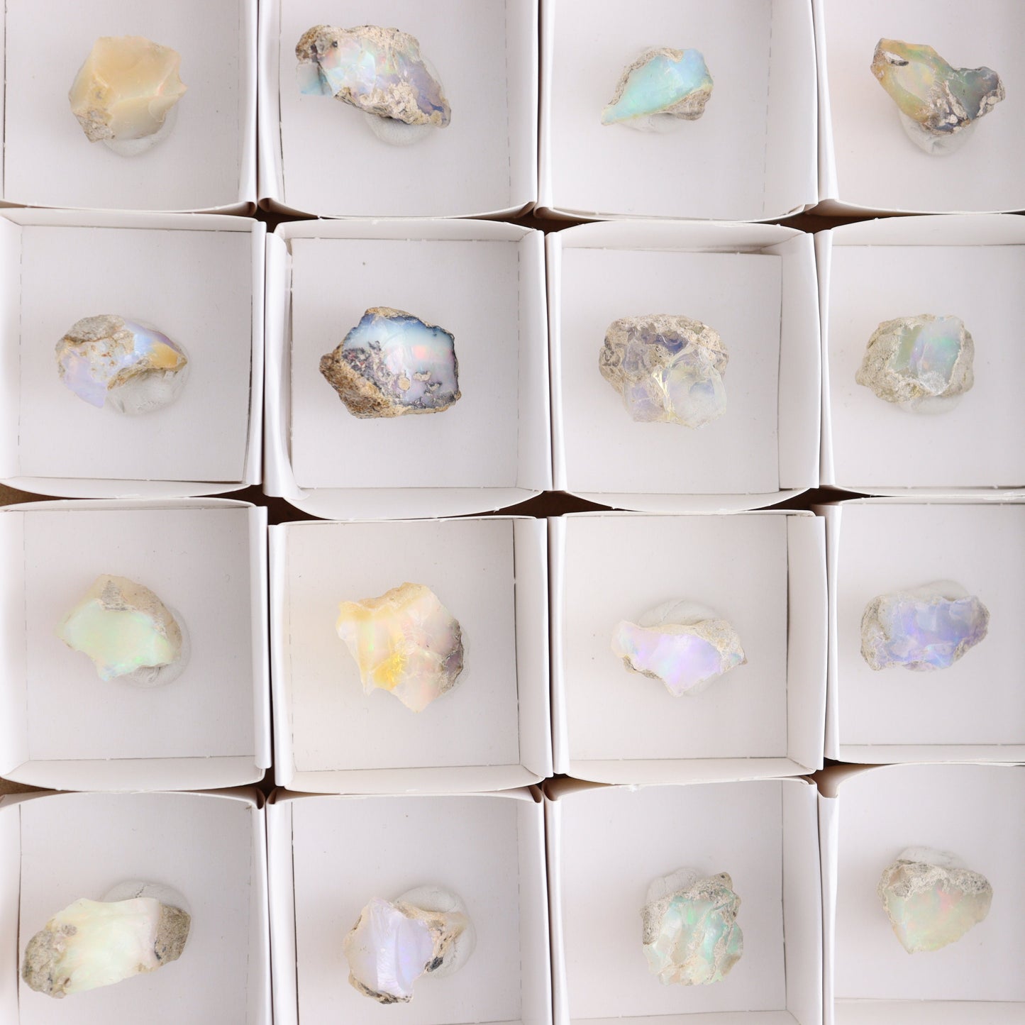 Ethiopian Opal Set of 24 - Expert Wholesale and Supplier of Wholesale Crystals & Bulk Gemstones, ["Ethiopia","ethiopian opal","Opal"]