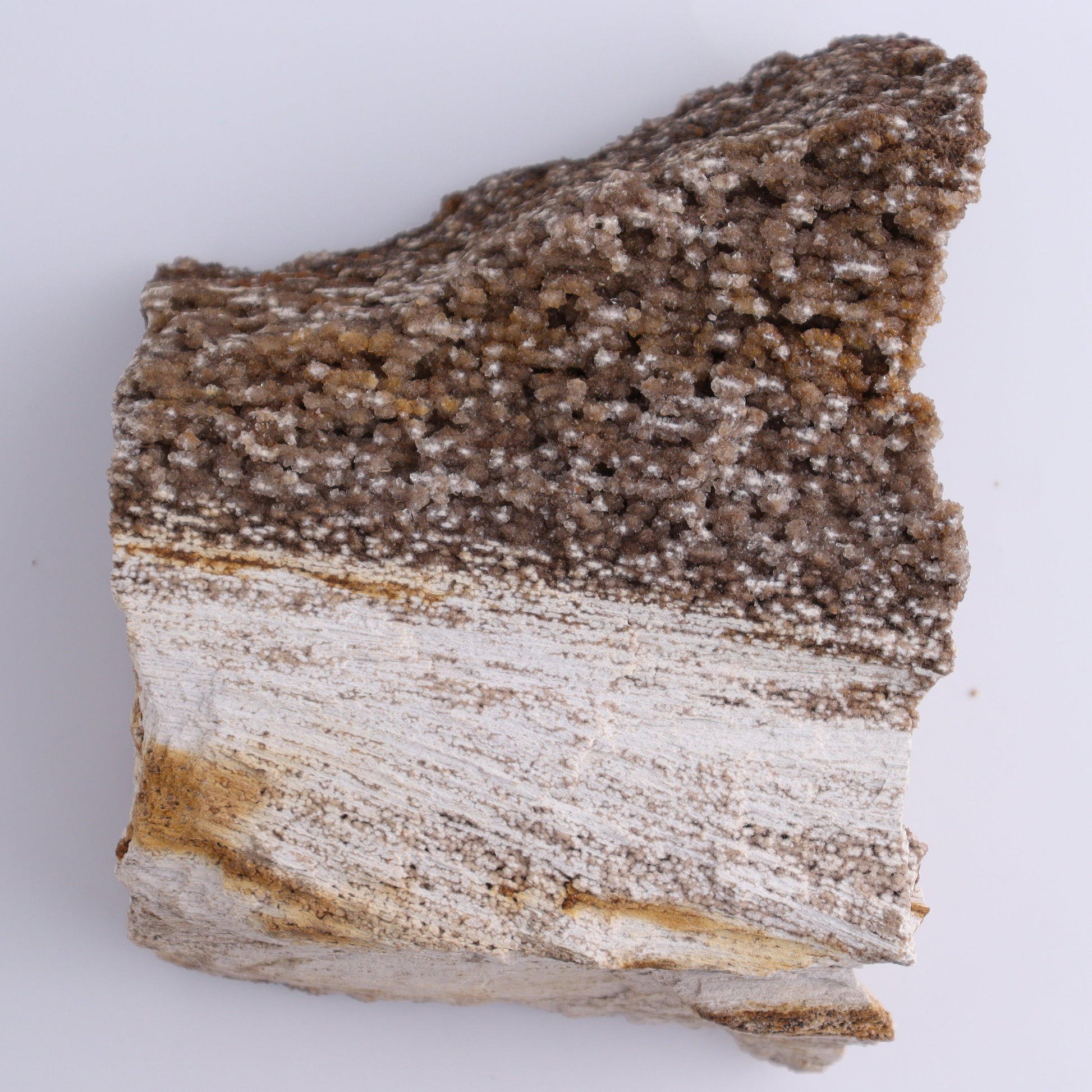 Petrified Wood Rough Set of 3 - Expert Wholesale and Supplier of Wholesale Crystals & Bulk Gemstones, ["Freeforms","Petrified Wood","Rough"]