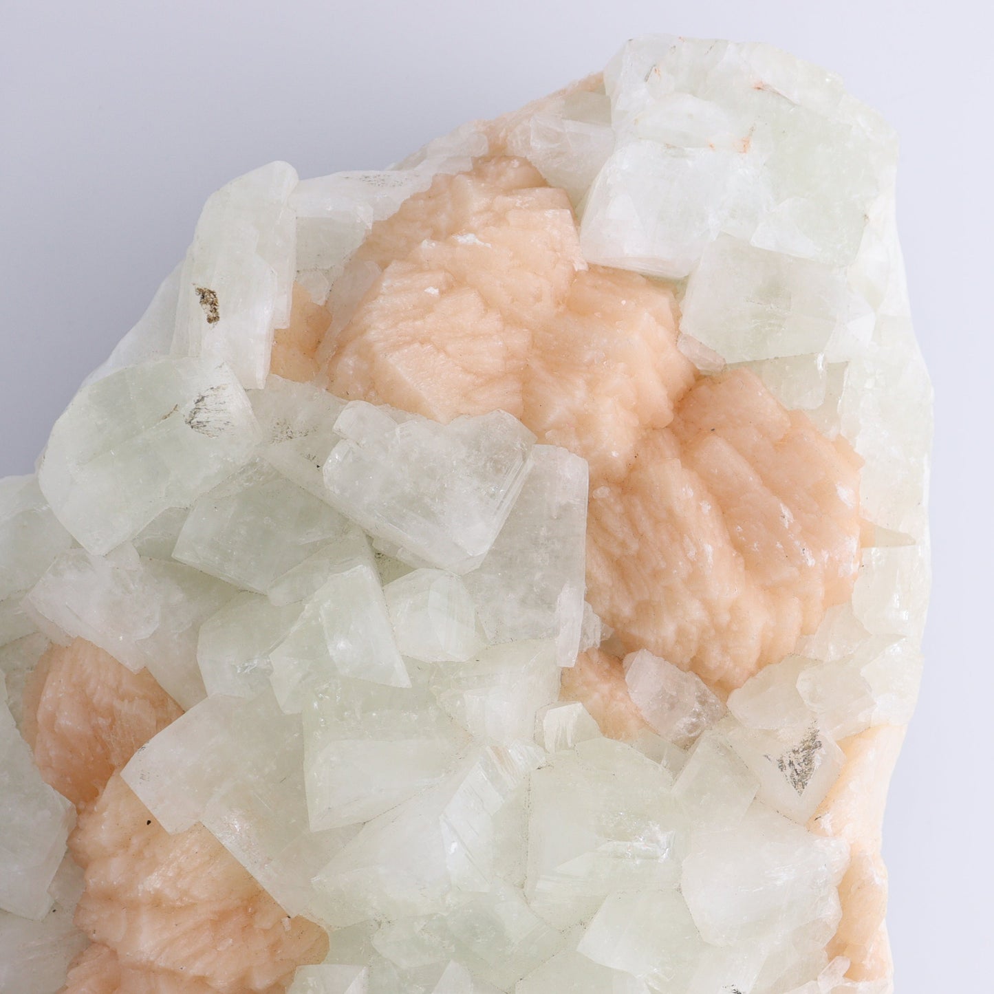 Large Apophyllite Cluster - Expert Wholesale and Supplier of Wholesale Crystals & Bulk Gemstones, ["Apophyllite","close_50","Clusters"]