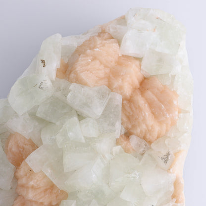 Large Apophyllite Cluster - Expert Wholesale and Supplier of Wholesale Crystals & Bulk Gemstones, ["Apophyllite","close_50","Clusters"]