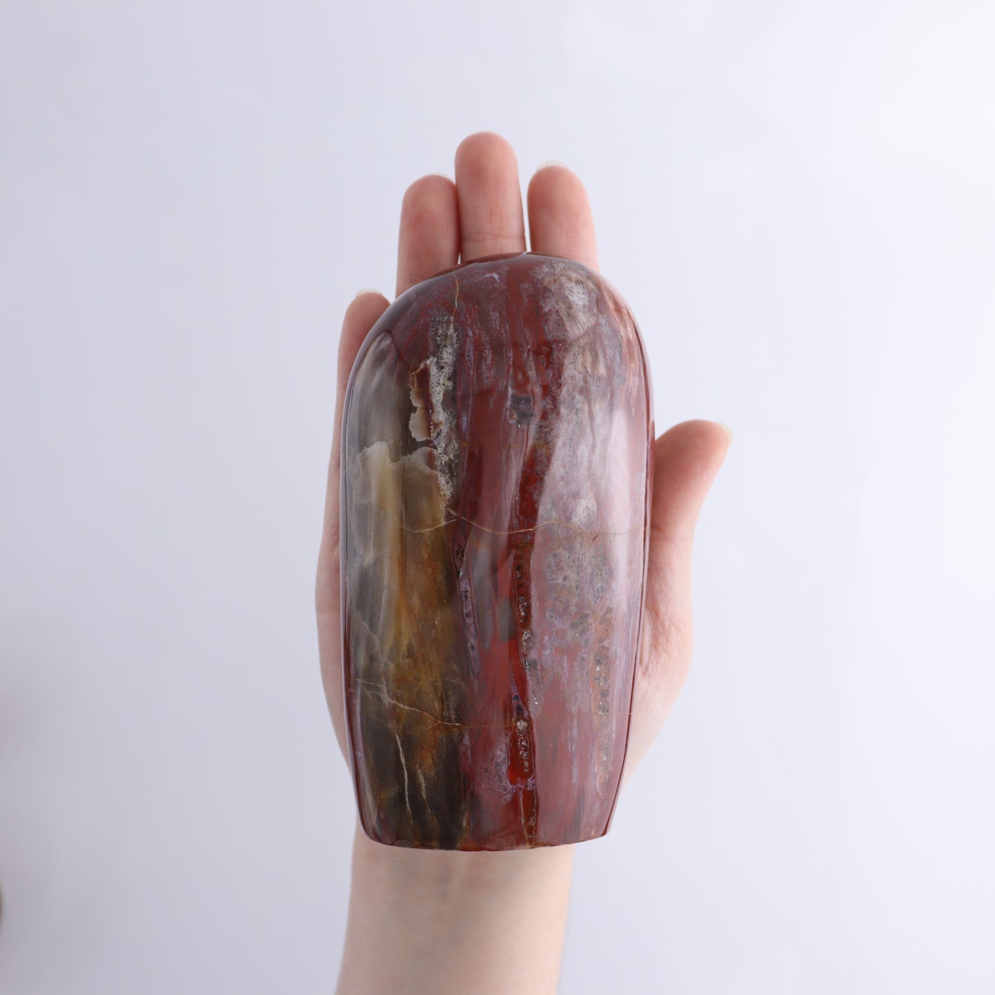 Petrified Wood Freeform Set of 3 - Expert Wholesale and Supplier of Wholesale Crystals & Bulk Gemstones, ["Freeforms","Madagascar","Petrified Wood"]