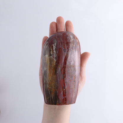 Petrified Wood Freeform Set of 3 - Expert Wholesale and Supplier of Wholesale Crystals & Bulk Gemstones, ["Freeforms","Madagascar","Petrified Wood"]
