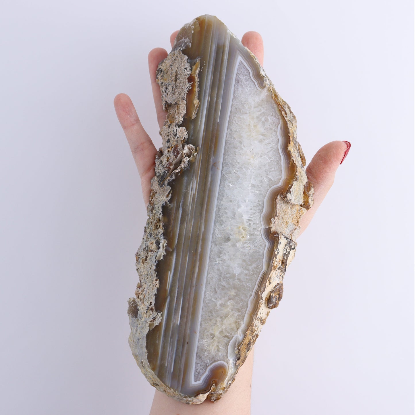 Agate Slices Set of 5 - Expert Wholesale and Supplier of Wholesale Crystals & Bulk Gemstones, ["Agate","Brazil","Slices and Slabs"]