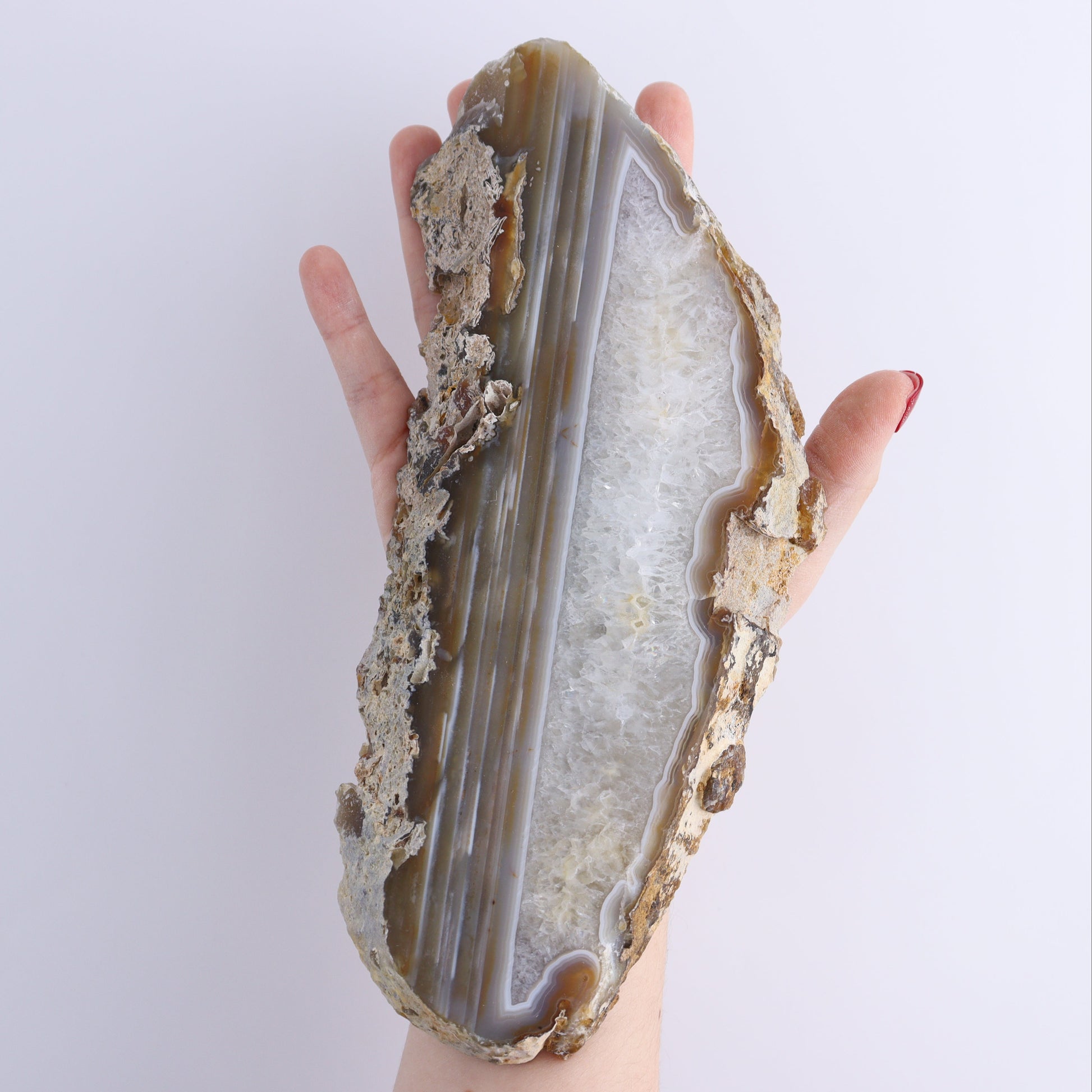 Agate Slices Set of 5 - Expert Wholesale and Supplier of Wholesale Crystals & Bulk Gemstones, ["Agate","Brazil","Slices and Slabs"]