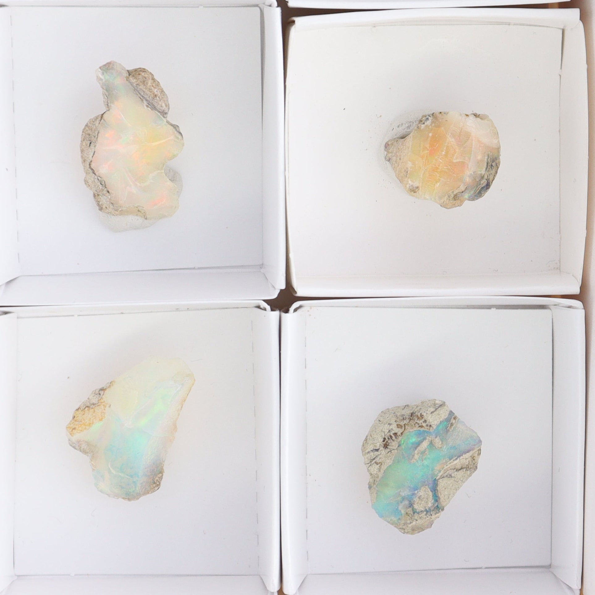 Ethiopian Opal Set of 10 - Expert Wholesale and Supplier of Wholesale Crystals & Bulk Gemstones, ["Ethiopia","ethiopian opal","Opal"]