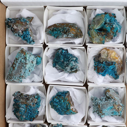 Chrysocolla on Quartz Roughs Set of 17