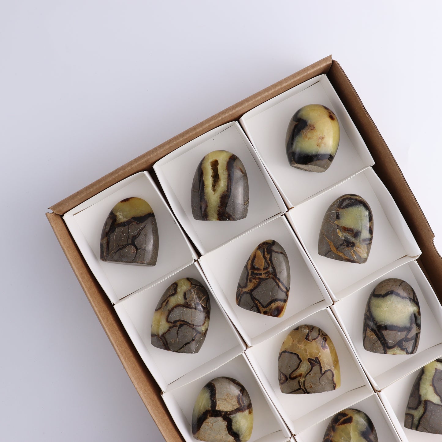 Septarian Freeforms Set of 12 - Expert Wholesale and Supplier of Wholesale Crystals & Bulk Gemstones, ["Flats","Freeforms","Madagascar","Septarian"]
