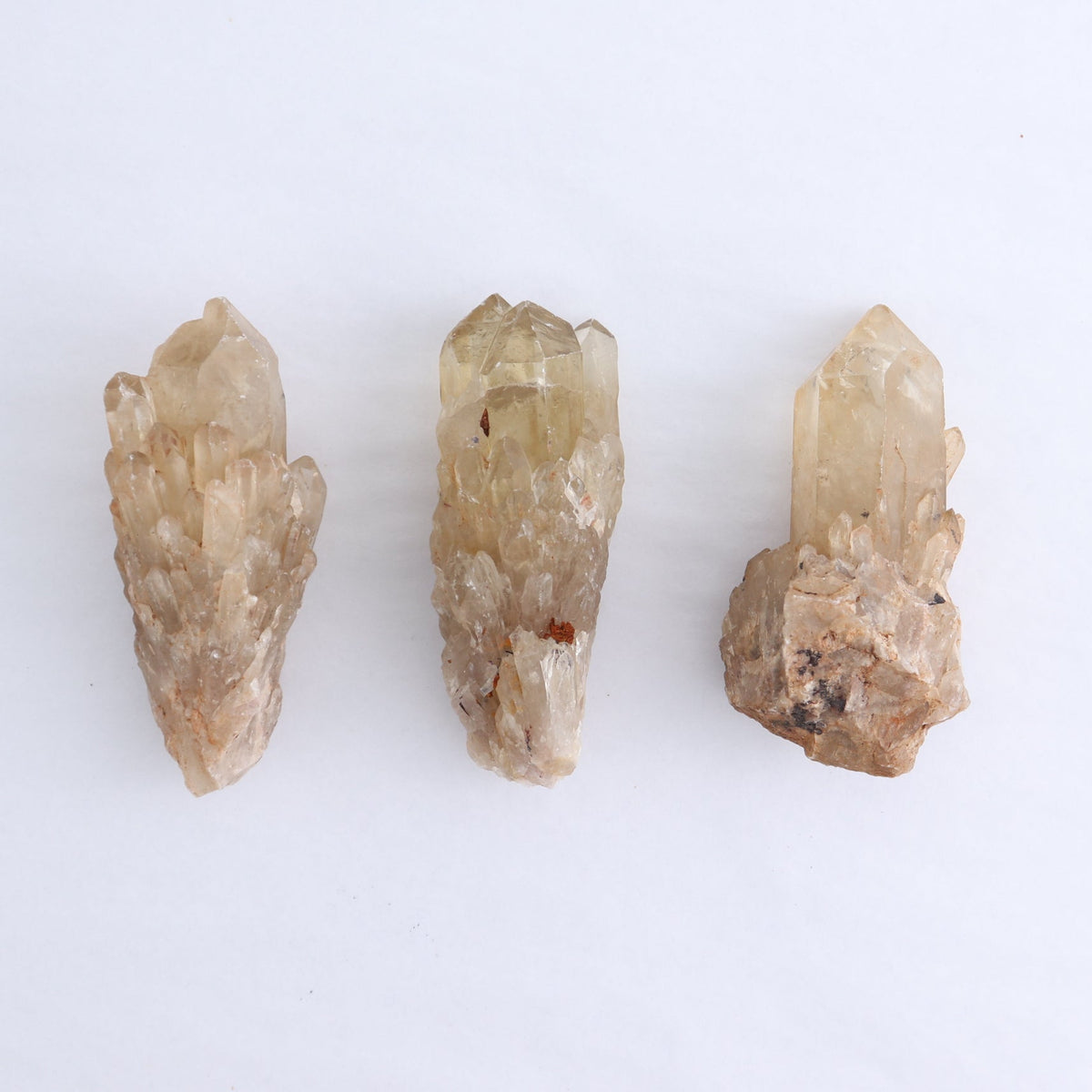 Congo Citrine Set of 12