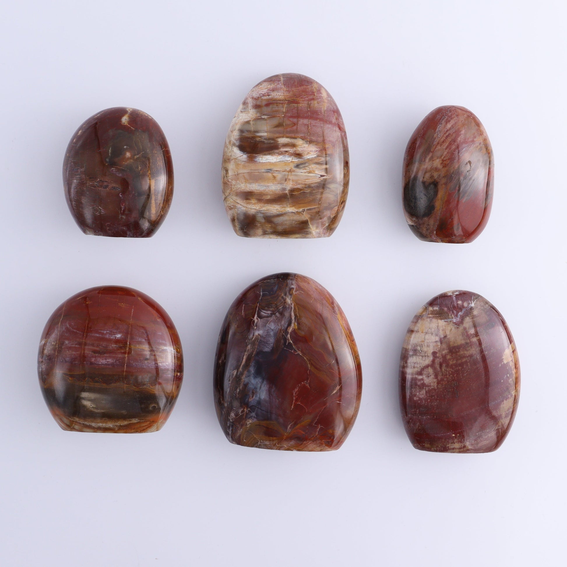 Petrified Wood Freeforms Set of 6 - Expert Wholesale and Supplier of Wholesale Crystals & Bulk Gemstones, ["Freeform","Freeforms","Madagascar","Petrified Wood"]