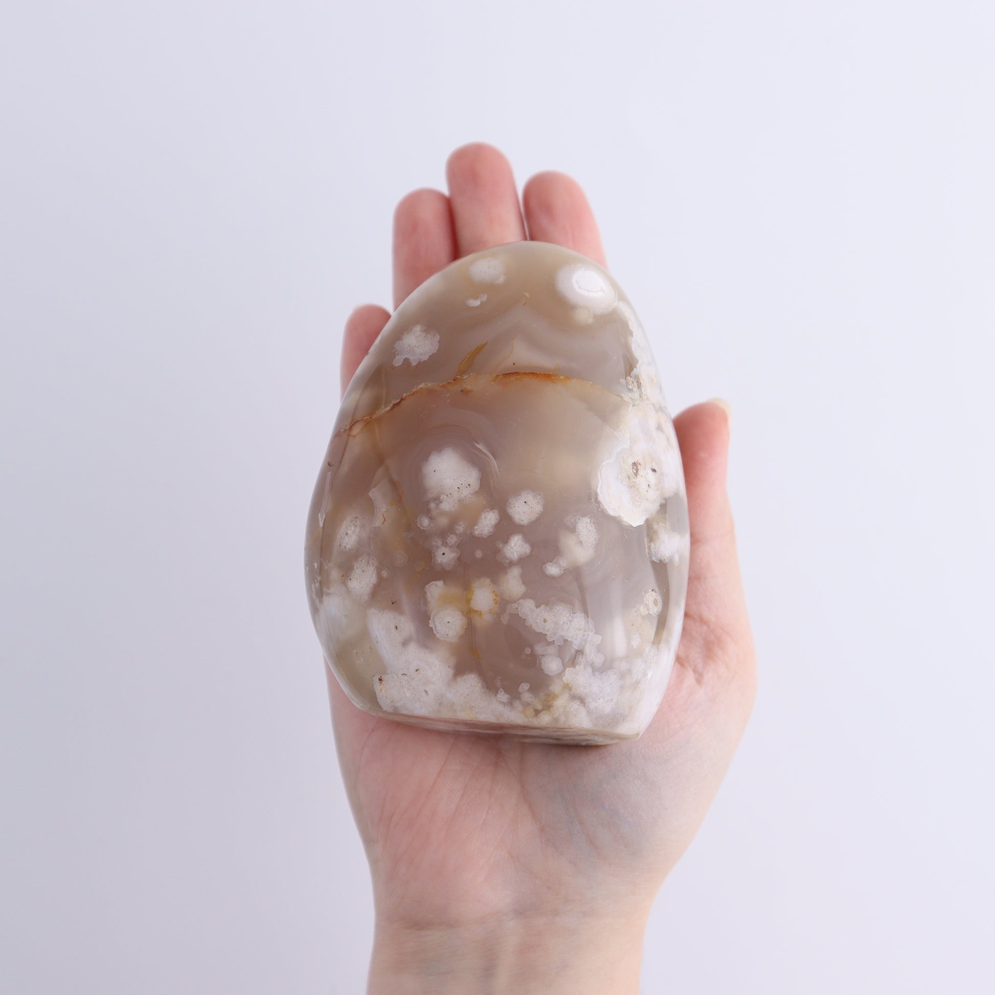 Flower Agate Freeforms Set of 6 - Expert Wholesale and Supplier of Wholesale Crystals & Bulk Gemstones, ["Flower Agate","Freeforms","Madagascar"]