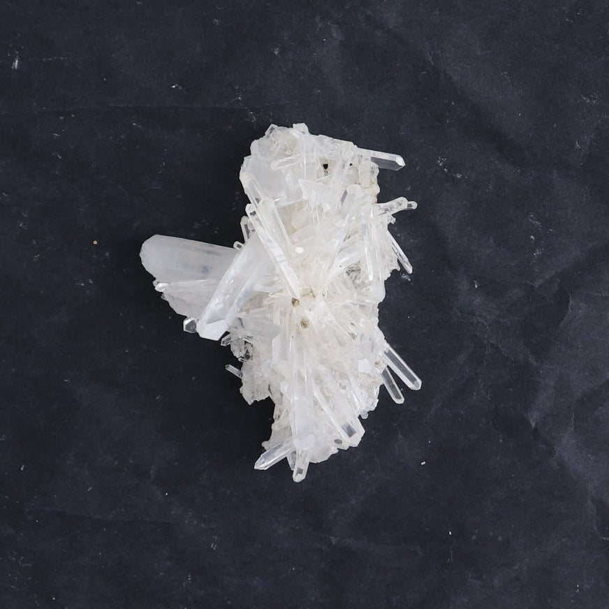 Lemurian Clusters from Columbia Set of 6