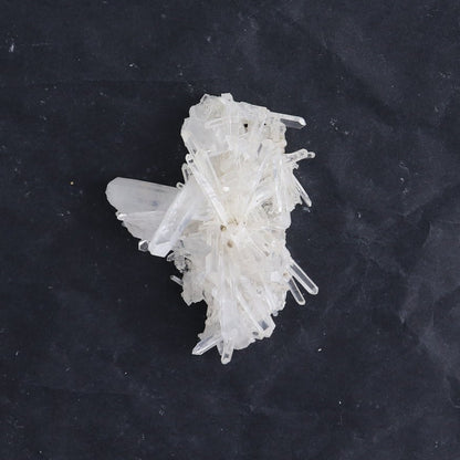 Lemurian Clusters from Columbia Set of 6