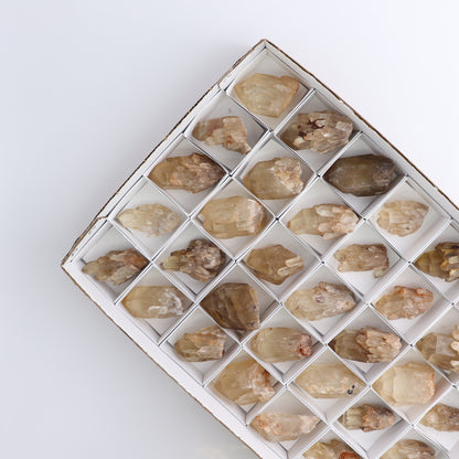 Congo Citrine Set of 35
