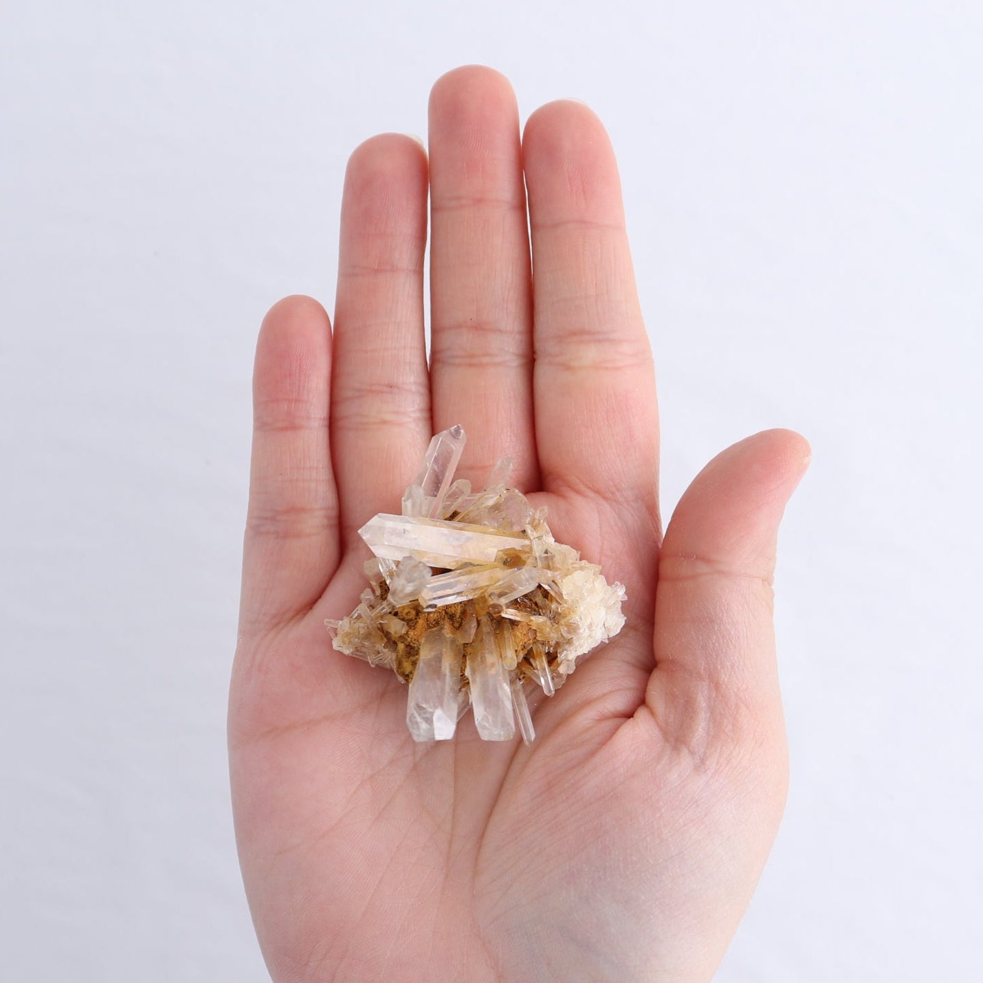 Lemurian Clusters from Columbia Set of 6