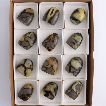 Septarian Freeforms Set of 12 - Expert Wholesale and Supplier of Wholesale Crystals & Bulk Gemstones, ["Flats","Freeforms","Madagascar","Septarian"]