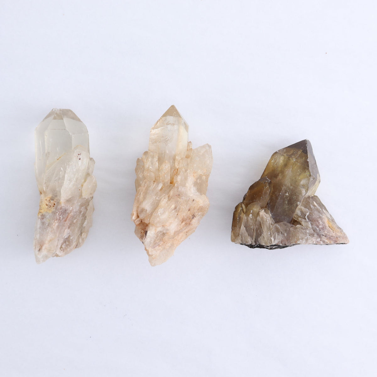 Congo Citrine Set of 12