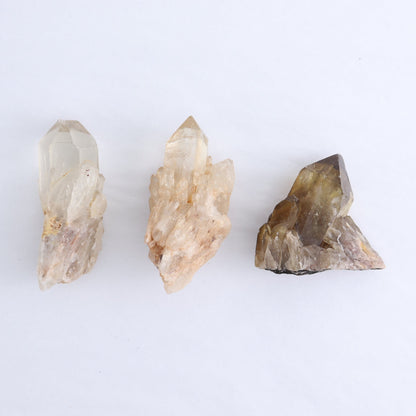 Congo Citrine Set of 12