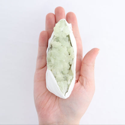 Prehnite Flat from Morocco