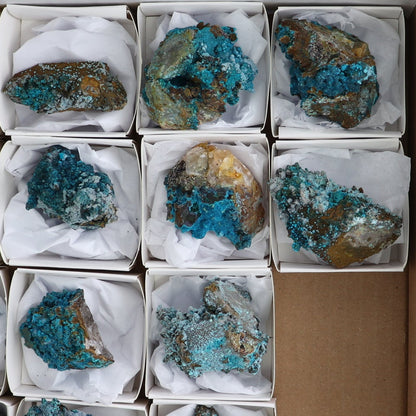 Chrysocolla on Quartz Roughs Set of 17