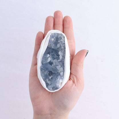 Celestite Clusters Set of 18 - Expert Wholesale and Supplier of Wholesale Crystals & Bulk Gemstones, ["Celestite","Clusters","Freeform"]